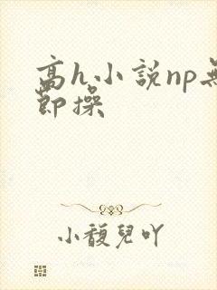 高h小说np无节操封面