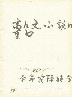 高h文小说np重口