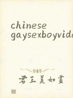 chinesegaysexboyvideo封面