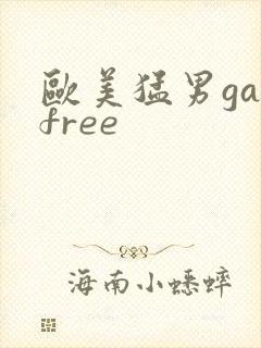 欧美猛男gayfree
