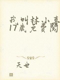 我叫林小喜今年17岁免费阅读青春
