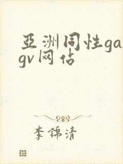 亚洲同性gaygv网站