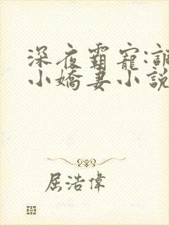 深夜霸宠:调教小娇妻小说