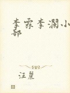 李霖李澜小说全部封面