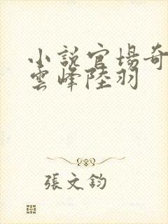 小说官场奇才刘云峰陆羽