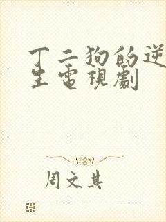 丁二狗的逆袭人生电视剧