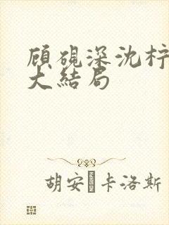 顾砚深沈柠后续大结局封面