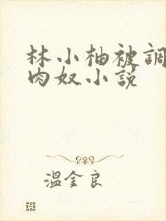 林小柚被调教成肉奴小说