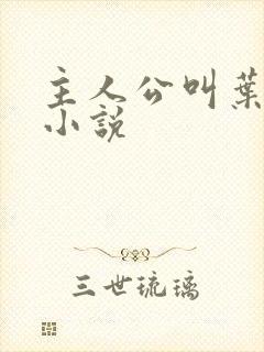 主人公叫叶凡的小说