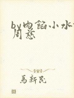 by肉馅小水饺周慈封面