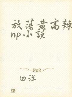 放荡黄高辣h文np小说