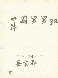 中国男男gay片封面