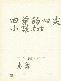 四爷的心尖宠妃小说.txt