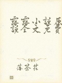 露露小说原著小说全文免费阅读封面