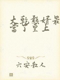 大乾憨婿最后谁当了皇上