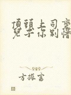 顶头上司变后妈儿子你别懵小说