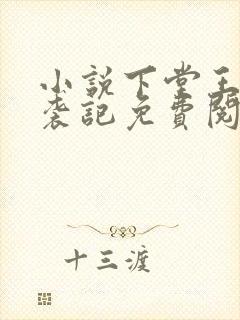 小说下堂王妃逆袭记免费阅读