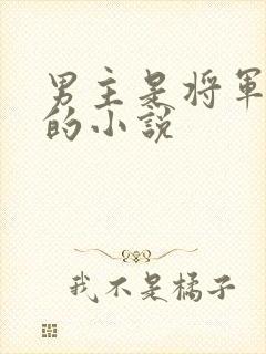 男主是将军姓萧的小说