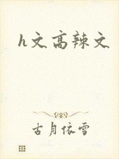 h文高辣文