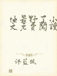 他最野了小说全文免费阅读