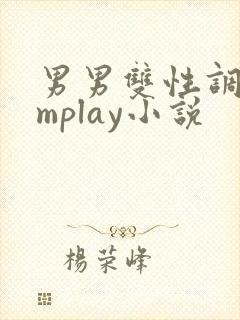 男男双性调教smplay小说
