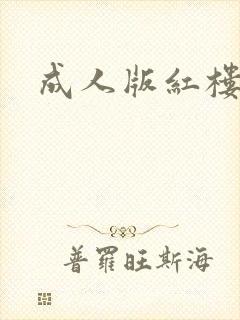 成人版红楼梦封面