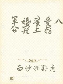 军婚蜜爱八零老公宠上瘾
