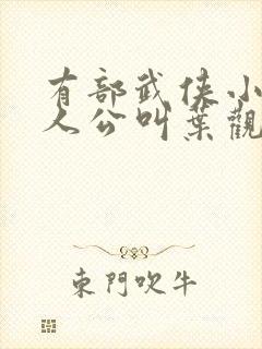 有部武侠小说主人公叫叶观的小说