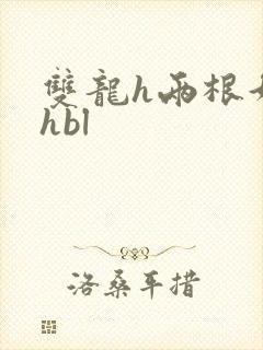 双龙h两根好撑hbl