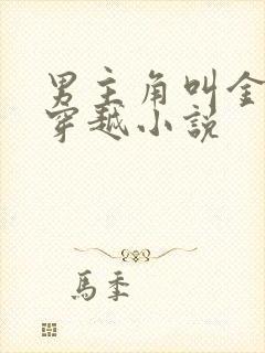 男主角叫金锋的穿越小说