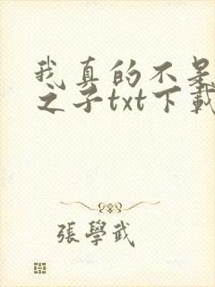 我真的不是气运之子txt下载完本