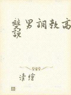 双男调教高h小说