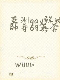 亚洲gay鲜肉帅哥69无套xxx
