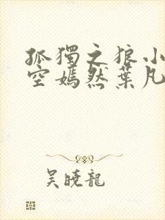 孤独之狼小说司空嫣然叶凡