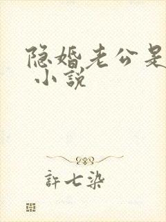 隐婚老公是大佬 小说