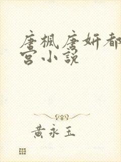 唐枫唐妍都市后宫小说封面