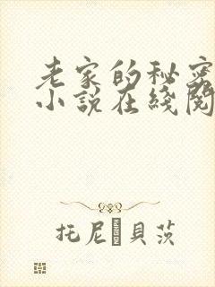 老家的秘密狗娃小说在线阅读封面