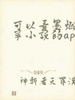 可以看墨燃楚晚宁小说的app