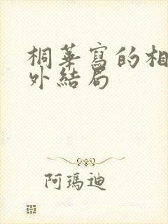 桐华写的相柳番外结局