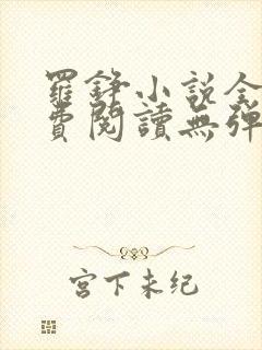 罗铮小说全文免费阅读无弹窗