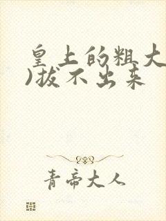 皇上的粗大(h)拔不出来