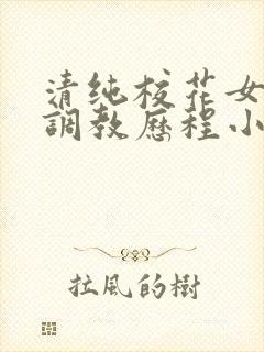 清纯校花女友的调教历程小说