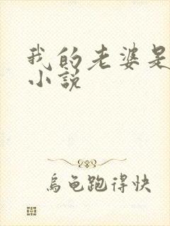 我的老婆是骚货小说