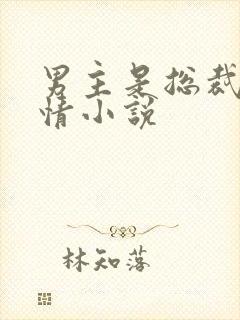 男主是总裁的言情小说
