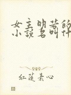 女主明若的穿越小说名叫什么