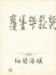 霸道总裁轻点爱漫画下拉式免费看
