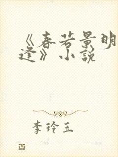 《春若景明不相逢》小说