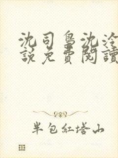 沈司枭沈泠初小说免费阅读最新章节封面