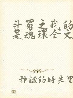 斗罗之我的武魂是魂环全文