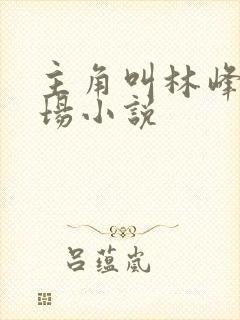 主角叫林峰的官场小说
